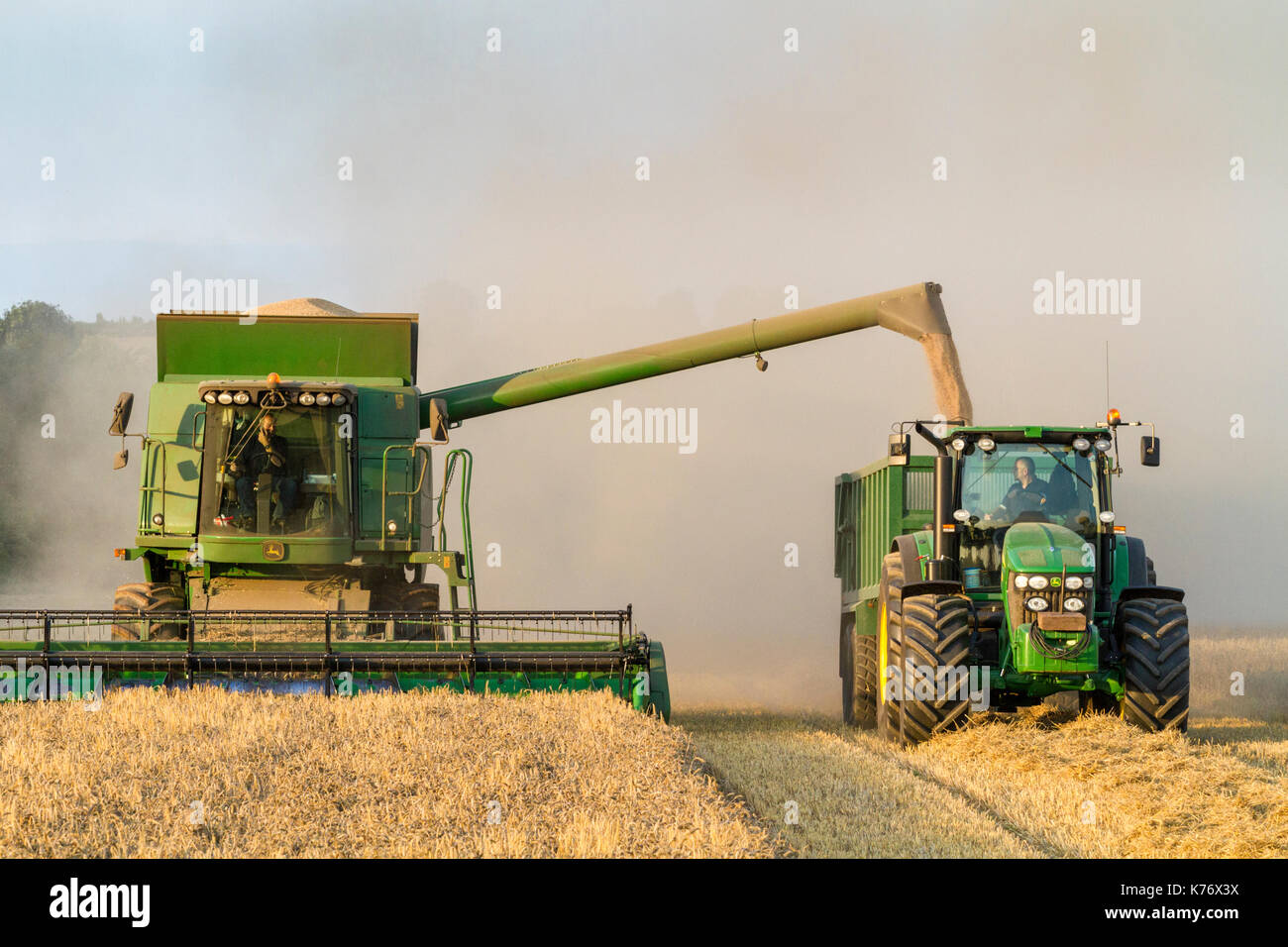 Cosecha de trigo. Descarga de la cosechadora de grano a un tractor y un remolque, Nottinghamshire, Inglaterra, Reino Unido. Foto de stock