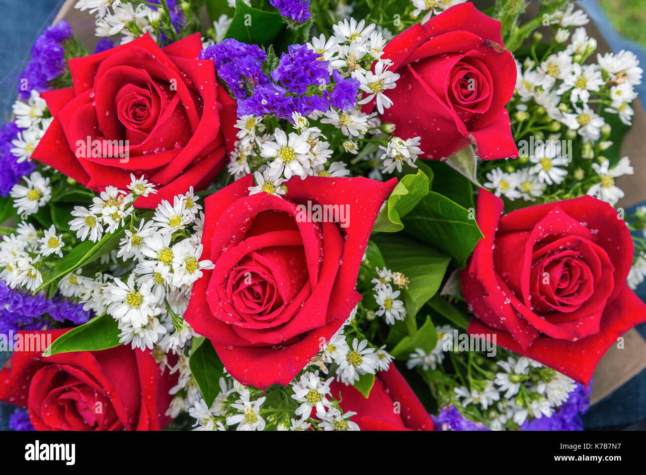 Cerca se centran en bouquet de flores frescas de florecientes rosas rojas  decoradas por blancos y morados flores pequeñas dentro de hojas verdes  Fotografía de stock - Alamy