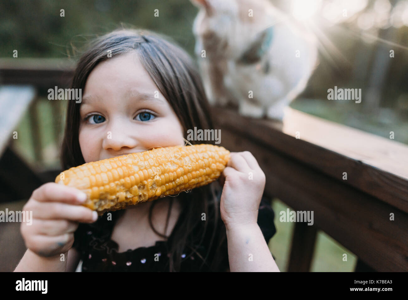 Biting on corn fotografías e imágenes de alta resolución - Alamy