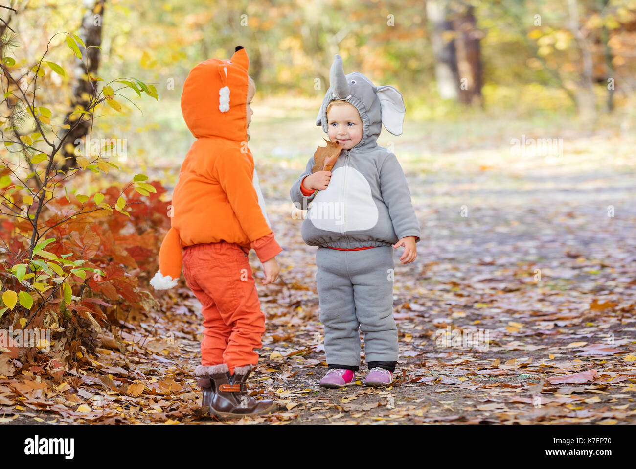 Niños pequeños vestidos con trajes de animales, niño vestido como zorro,  niña como elefante, jugando en el bosque de otoño Fotografía de stock -  Alamy