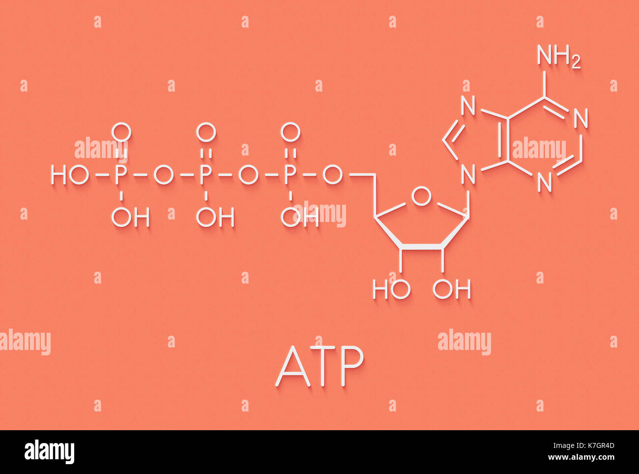 Assinale A Alternativa Correta Na Definição Da Adenosina Trifosfato Atp