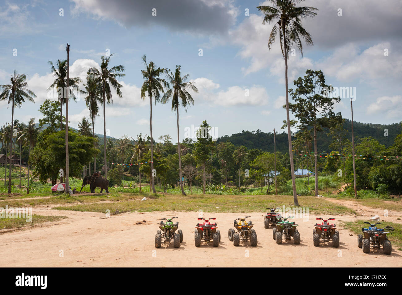 Quads estacionados en una línea con un elefante vagar en el fondo, Koh Samui, Tailandia. Foto de stock