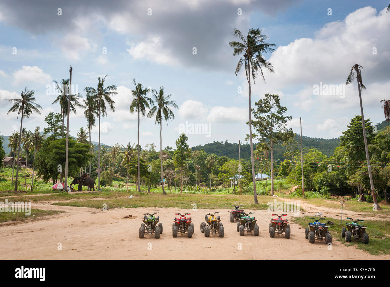 Quads estacionados en una línea con un elefante vagar en el fondo, Koh Samui, Tailandia. Foto de stock