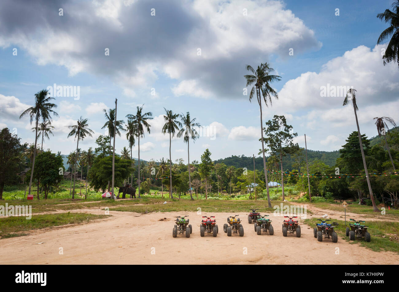 Quads estacionados en una línea con un elefante vagar en el fondo, Koh Samui, Tailandia. Foto de stock