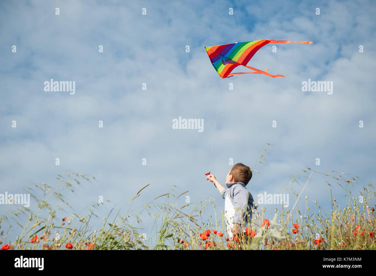 Chico parado entre campo de flores celebración colorida volar cometas en el  aire Fotografía de stock - Alamy