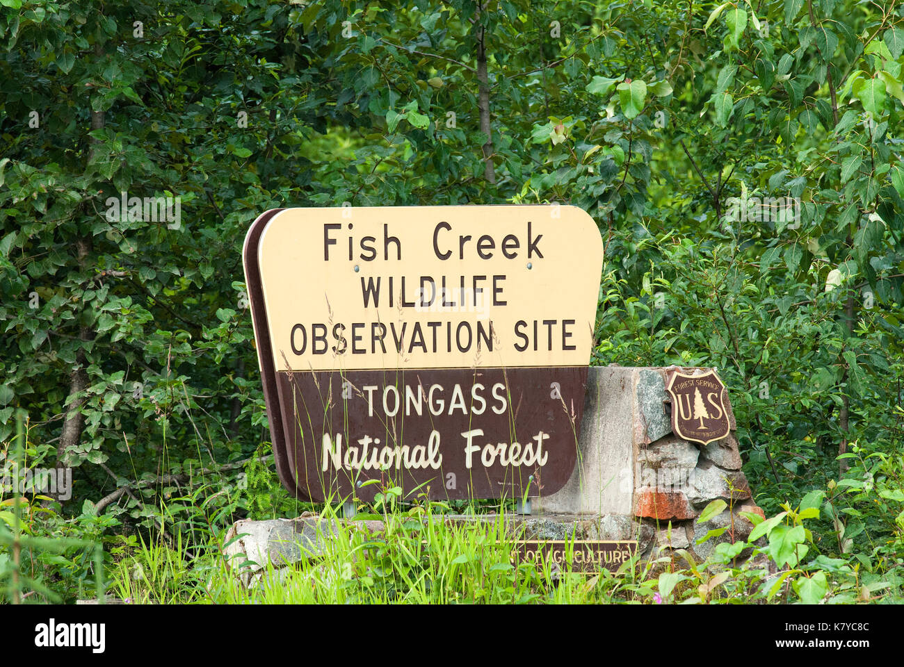 Cartel de madera a lo largo de la carretera a Fish Creek, sitio de Observación de Vida Silvestre Tongass National Forest, Hyder, Alaska, EE.UU. Foto de stock