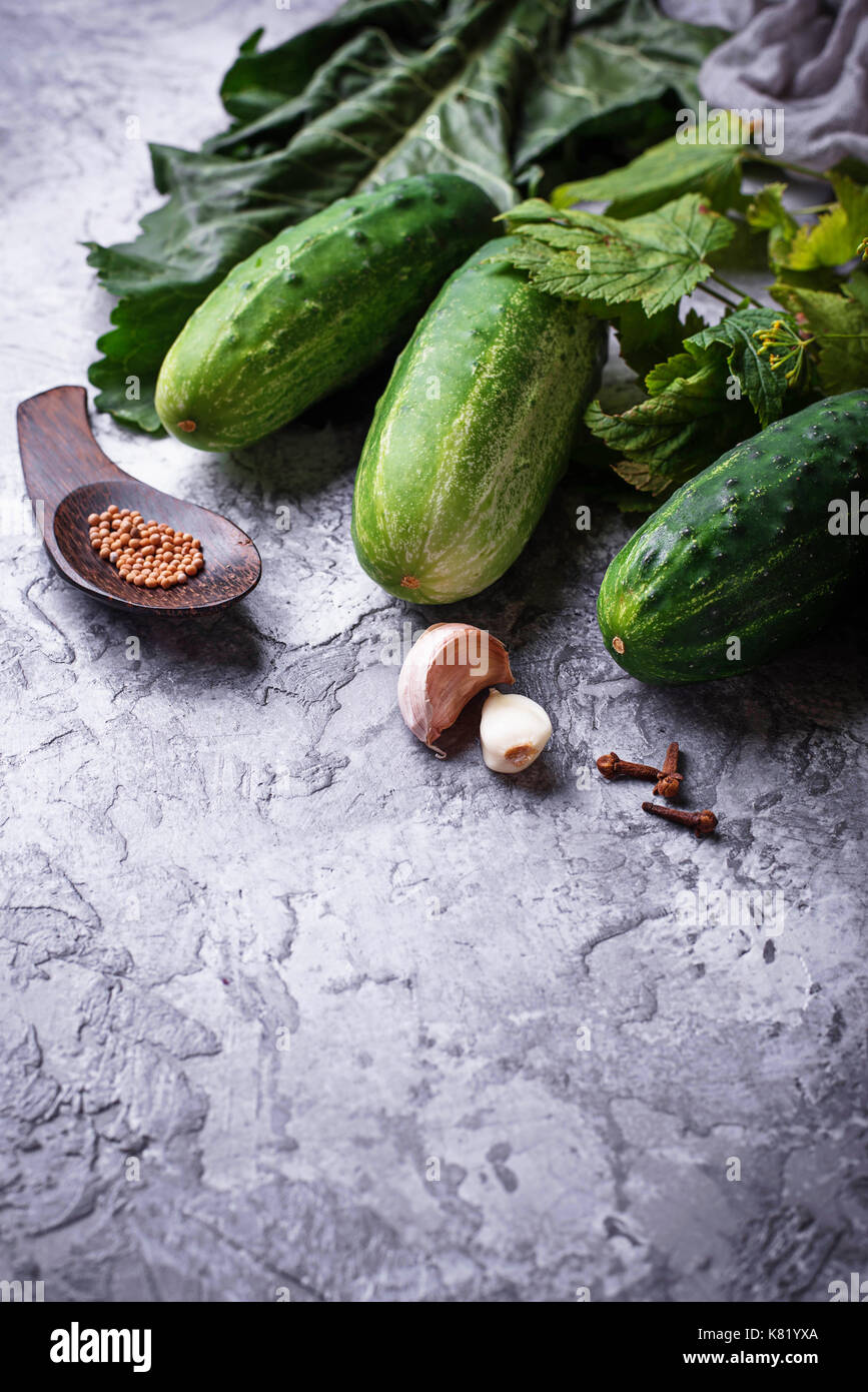 Ingredientes para cocinar pepinos encurtidos Foto de stock