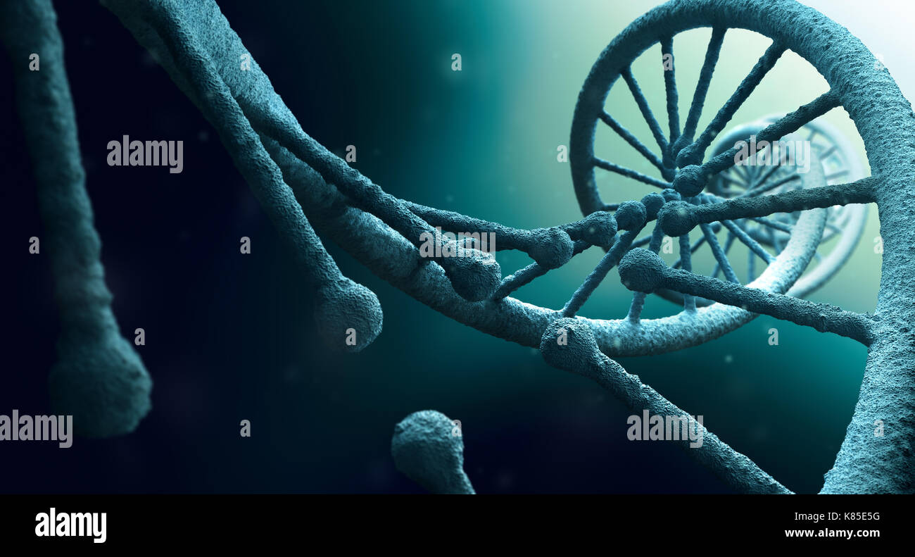 La estructura del ADN cerrar Foto de stock