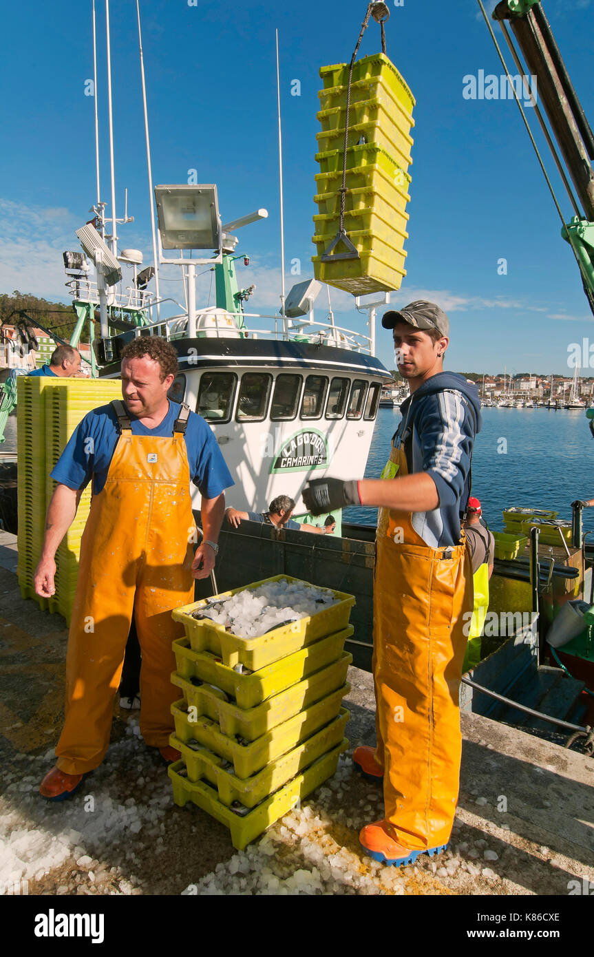 Barcos de pesca descargando cajas de peces, Camarinas, provincia de la Coruña, Región de Galicia, España, Europa Foto de stock