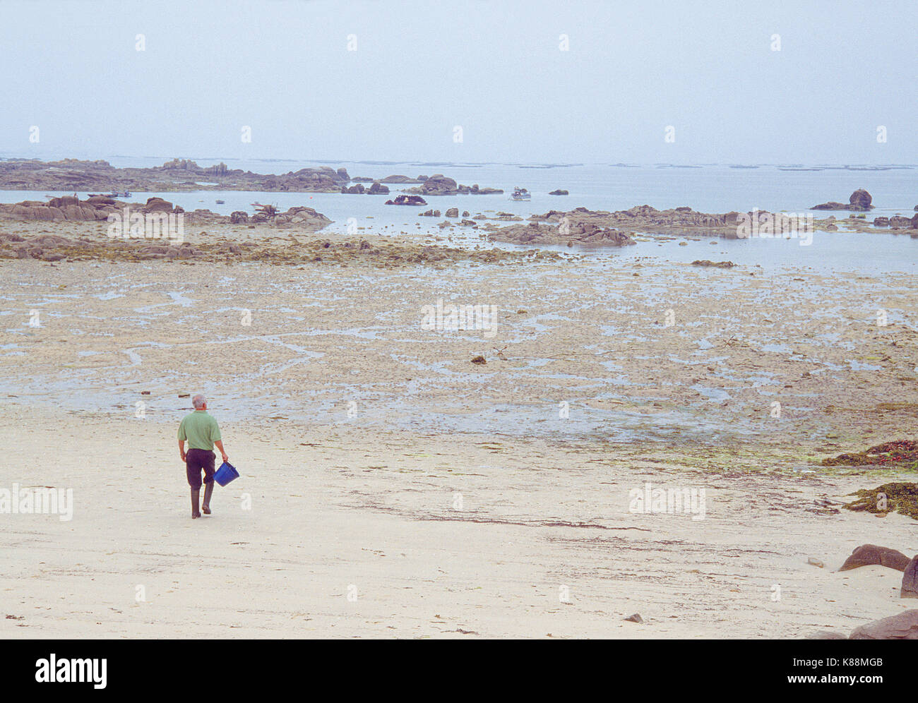 Mariscos catcher caminando por la playa en marea baja. Carreiron Reserva Natural, la Isla de Arosa, Pontevedra, Galicia, España. Foto de stock