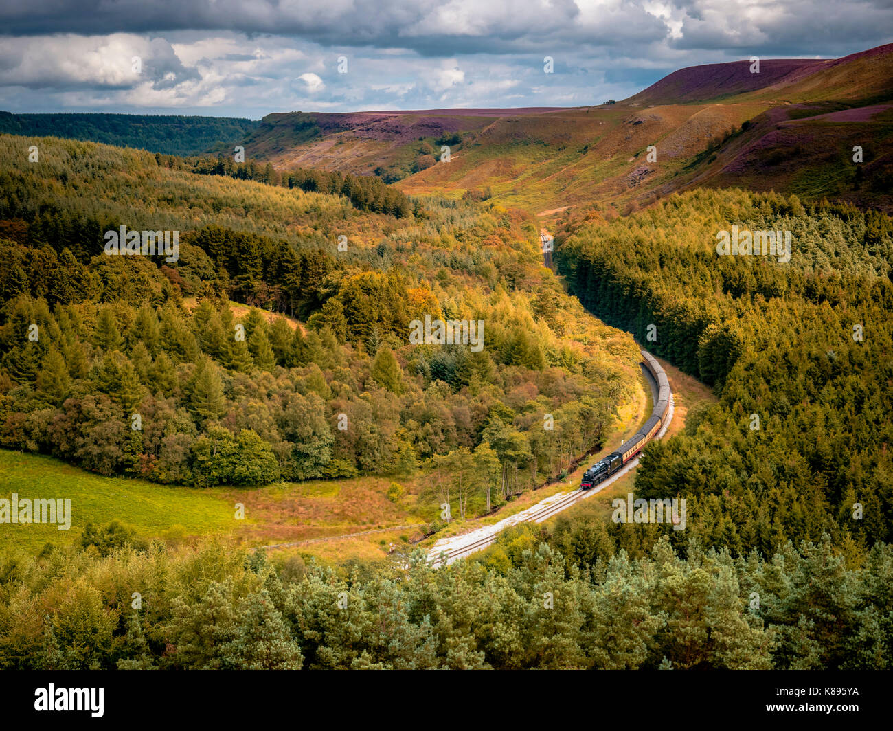 Un tren a vapor de North Yorkshire Moors Railway viajando a través de Newton dale. Foto de stock