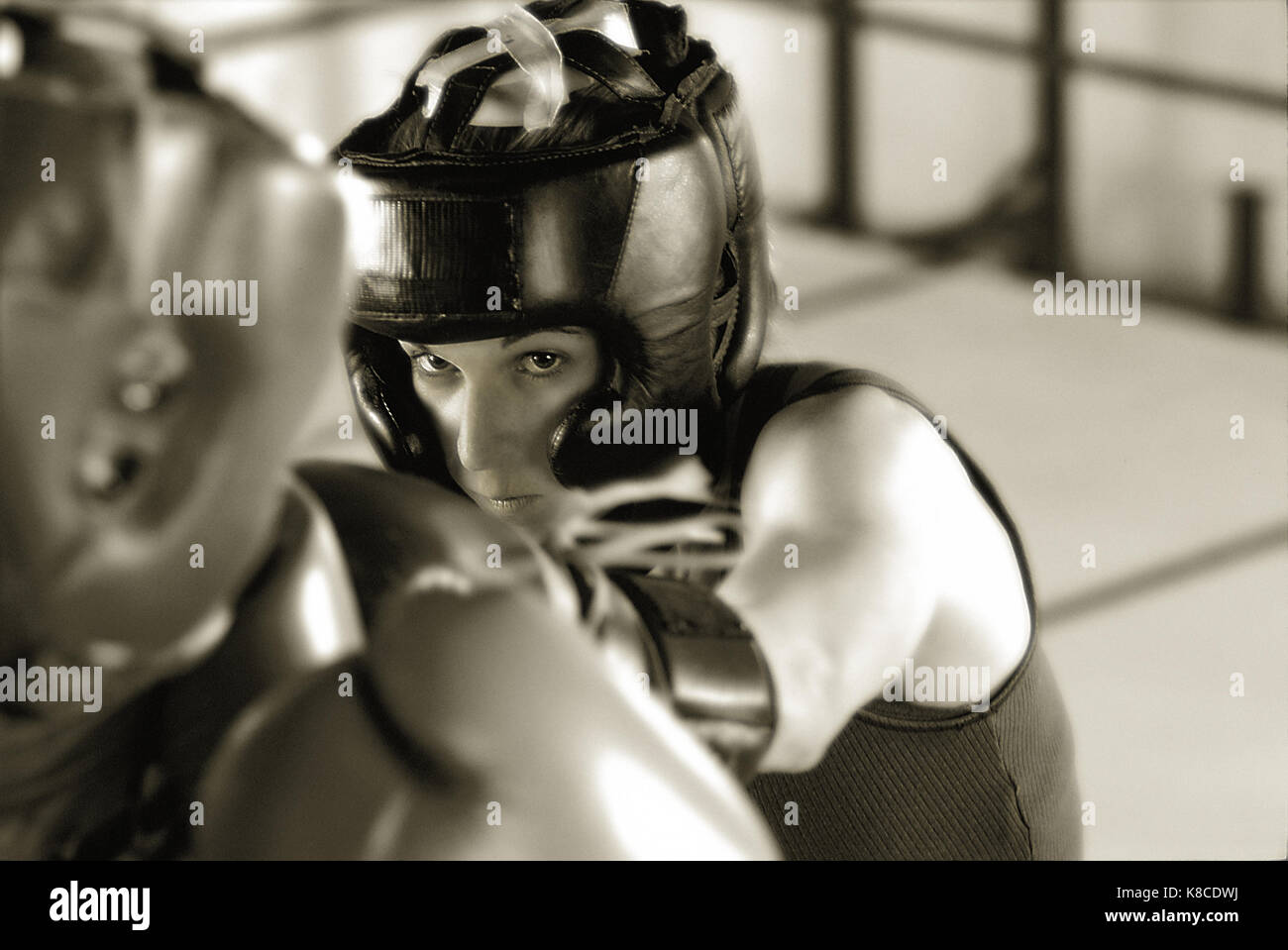 Las mujeres boxeadoras, lucha, los combatientes Foto de stock