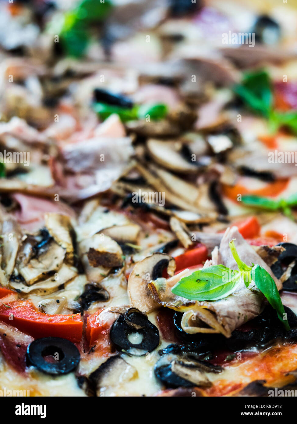 Pizza palermo (salsa de tomate, mozzarella, jamón, setas, aceitunas, pimientos, prosciutto cotto, ahumado, carne salami) Foto de stock
