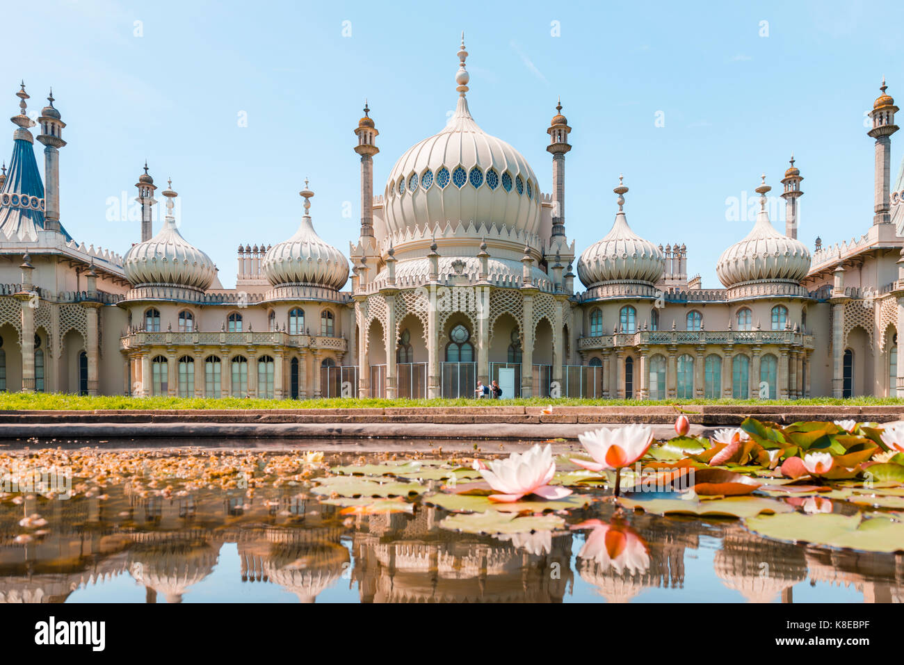 Nenúfares en un estanque delante del palacio Royal Pavilion, Brighton, East Sussex, Inglaterra, Gran Bretaña Foto de stock