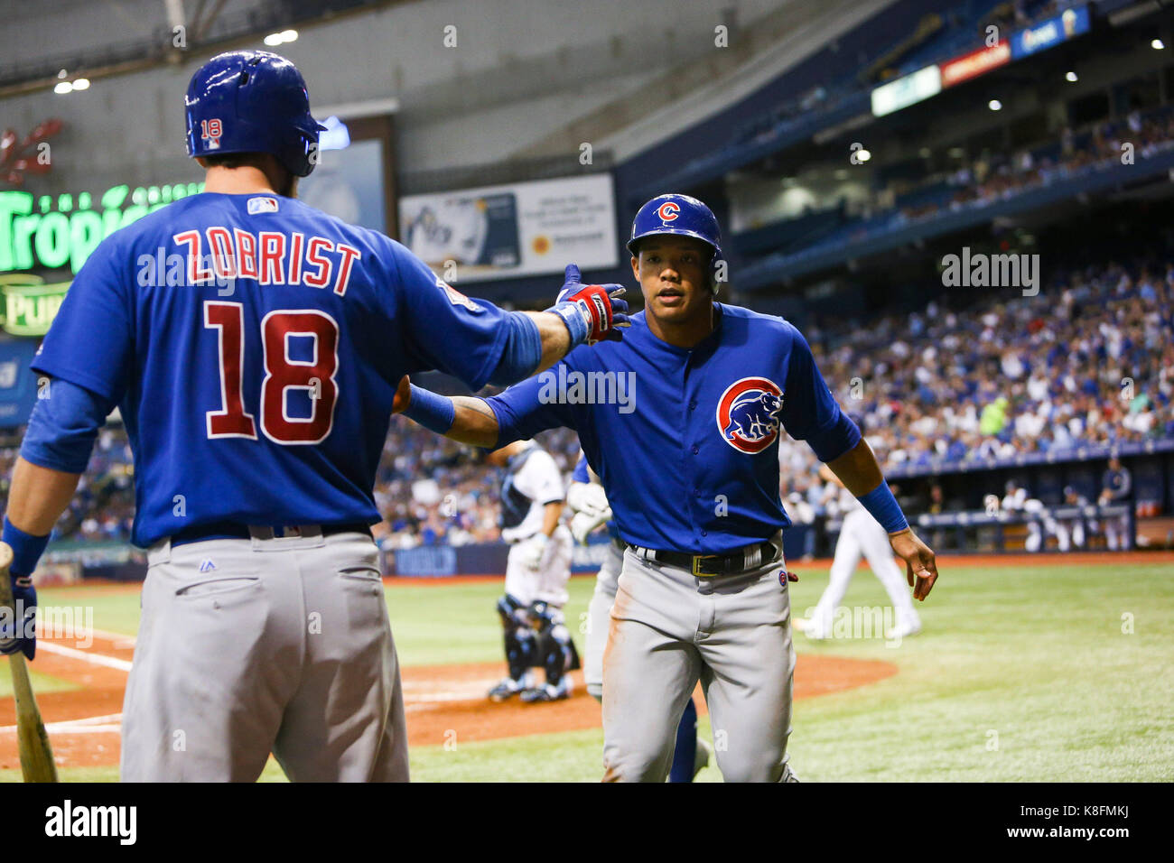 Javier Báez - Chicago Cubs #9  Jugadores de béisbol, Fotos de