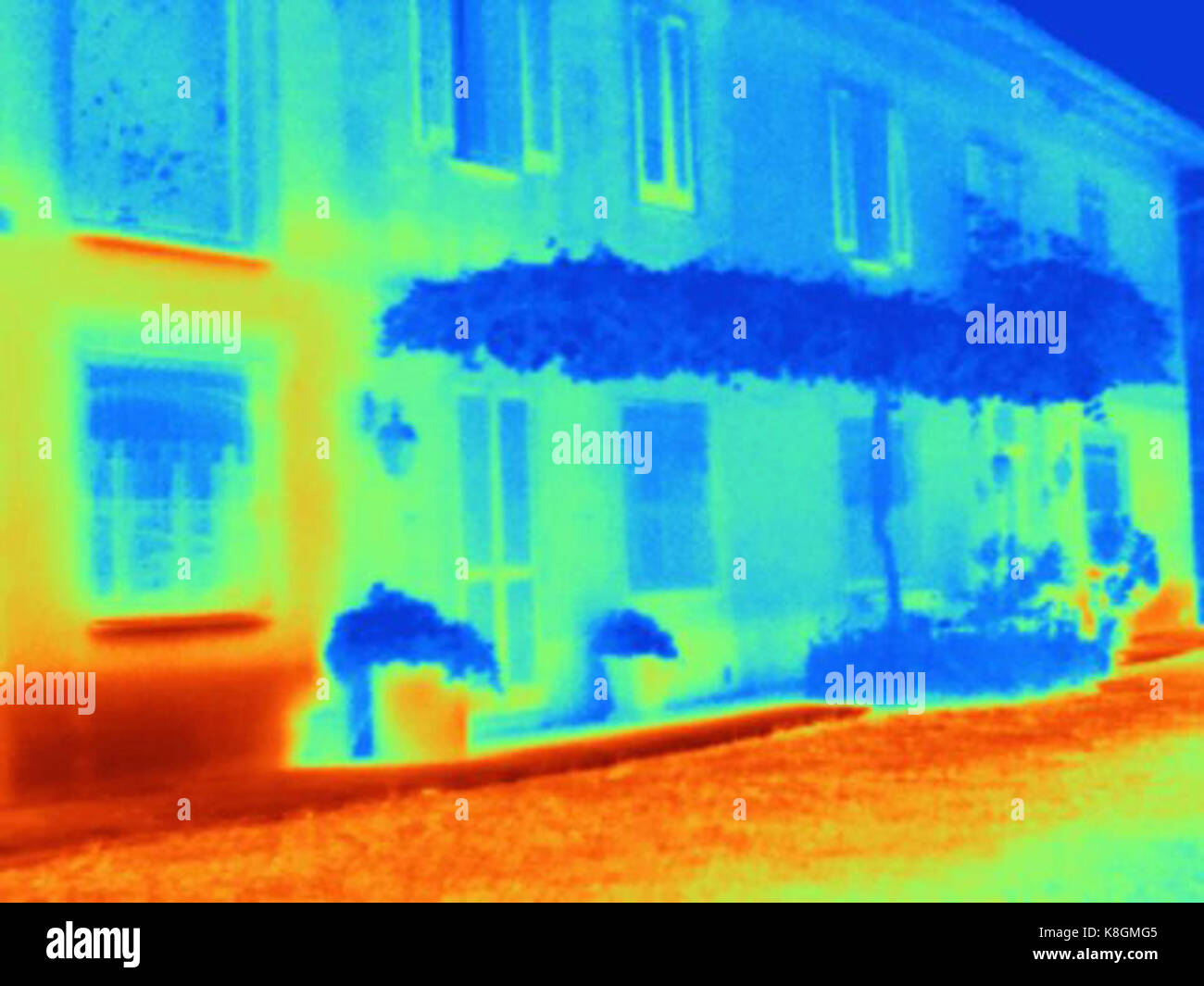 Imagen térmica que ilustra las propiedades de enfriamiento del vid pergola adjunta a un hogar Foto de stock