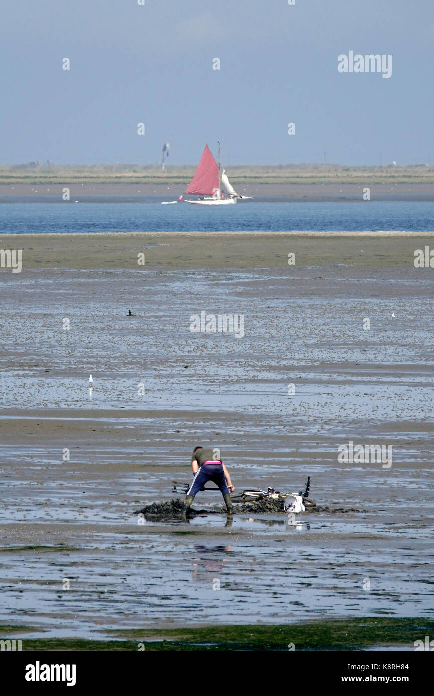 Excavar para lugworm o sandworm (arenicola marina) en south swale, Kent. Mirando hacia la isla de Sheppey. Foto de stock