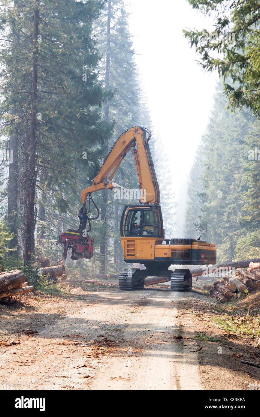 Gran máquina utilizada para cortar y de ramas de árboles en medio de la  carretera en un smoky mañana en Oregon Fotografía de stock - Alamy