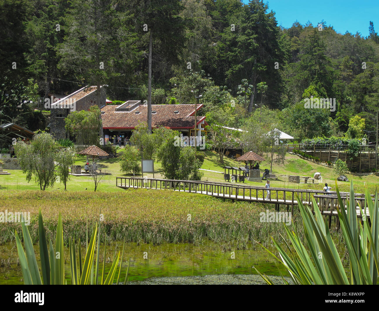 Este es el parque arvi de santa elena, Medellín, Colombia Foto & Imagen