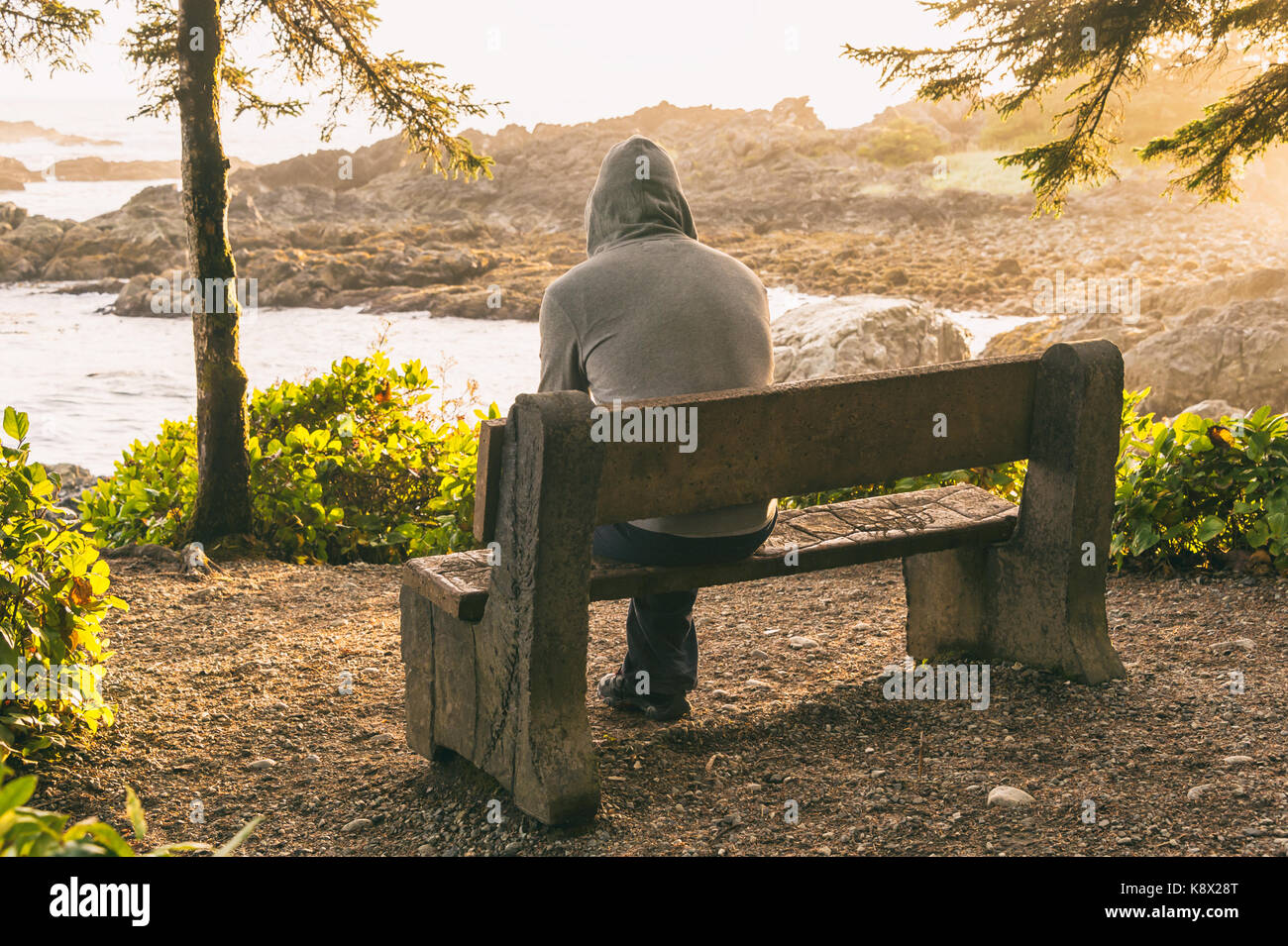 Hombre solitario sentado en un banco con vistas al mar en la isla de Vancouver al atardecer Foto de stock