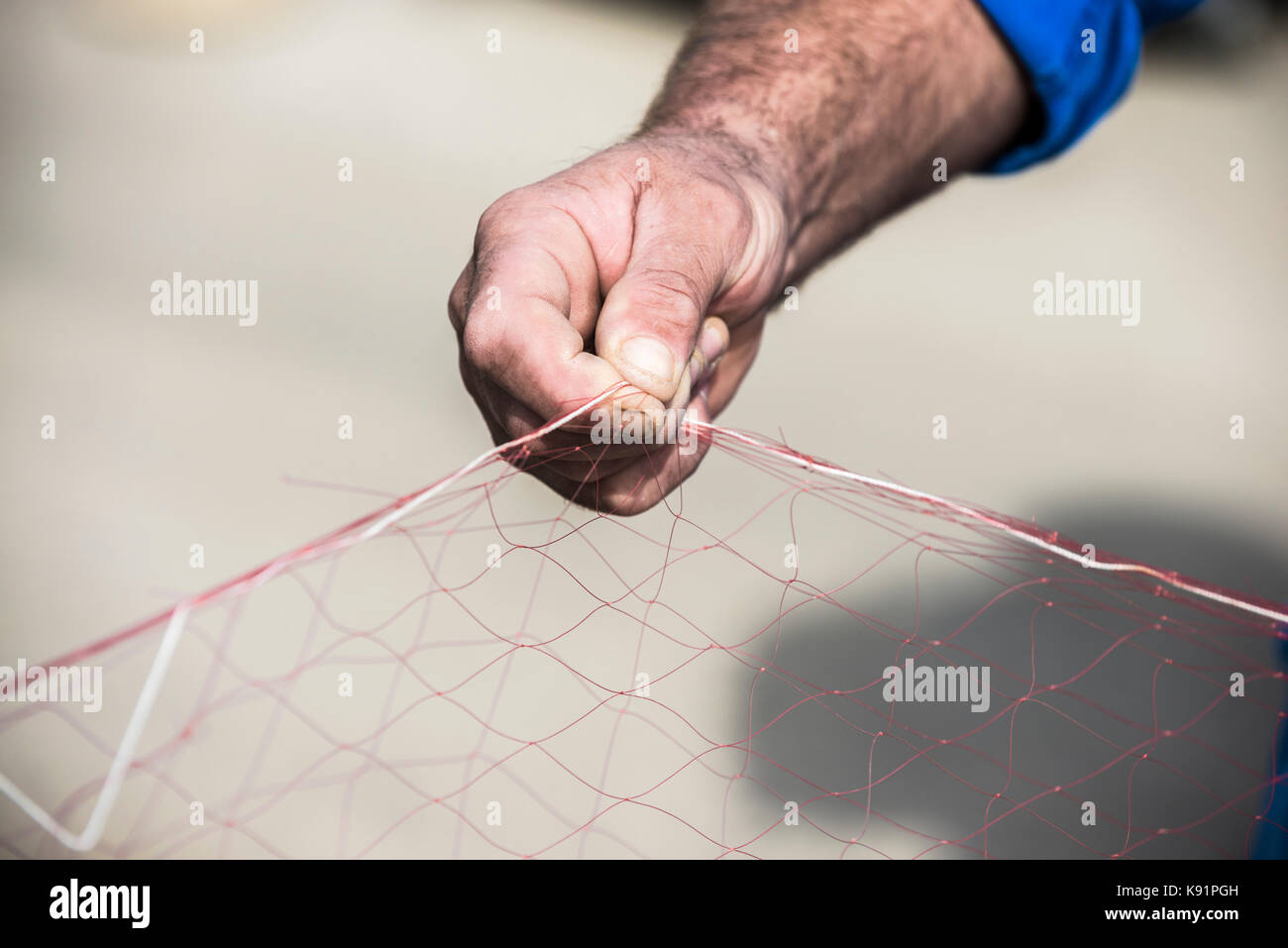 Pescador en el mar Adriático prepara la red para pescar con sus manos. Foto de stock