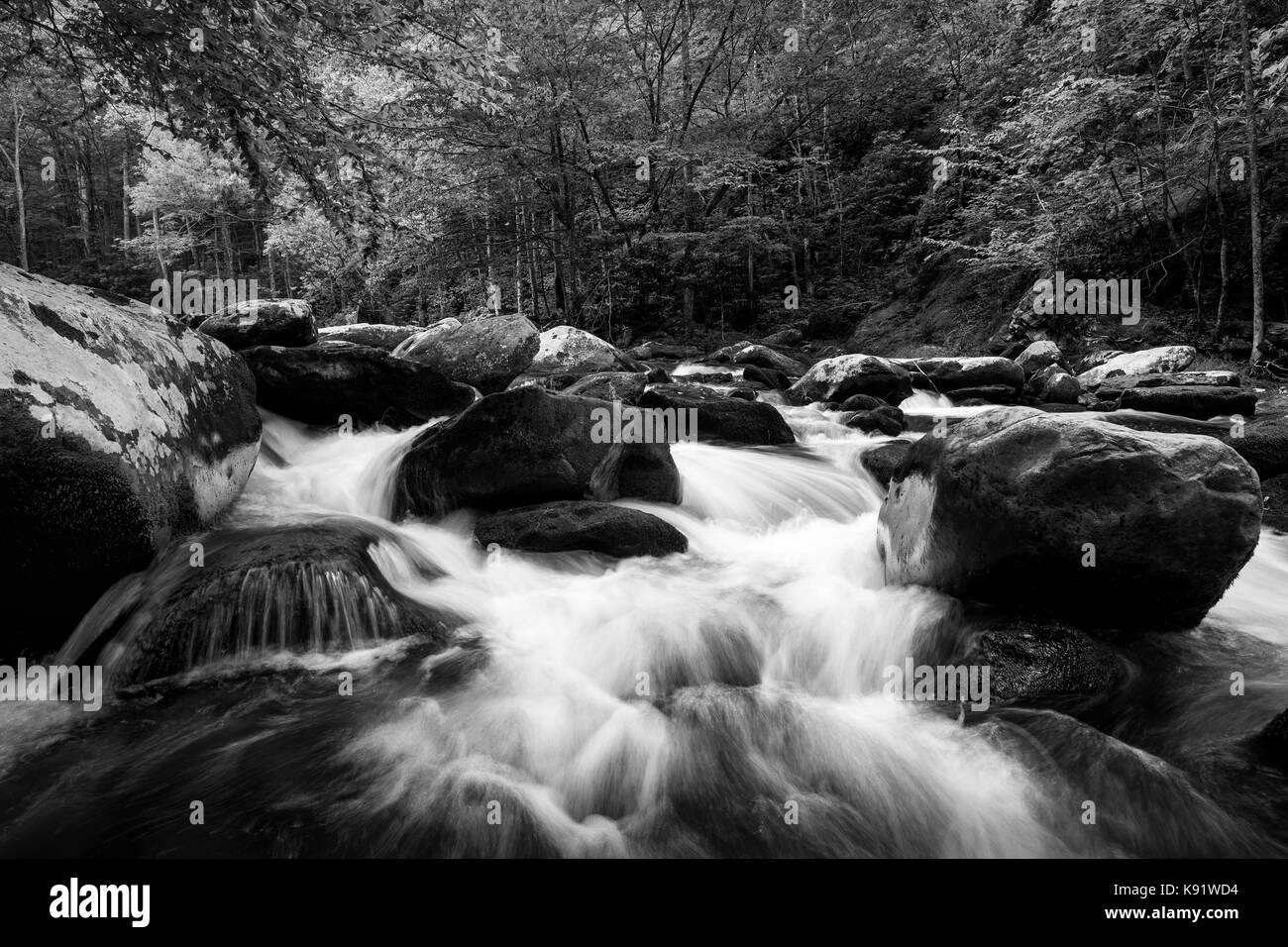 La mitad de las puntas de lanza de la Little River está formado por la confluencia de Lynn camp prong y thunderhead puntas corrientes y otro de 6 millas hasta que desemboca en el pequeño río. toda la cuenca del oriente prong está vagamente conocidas como tremont. Foto de stock