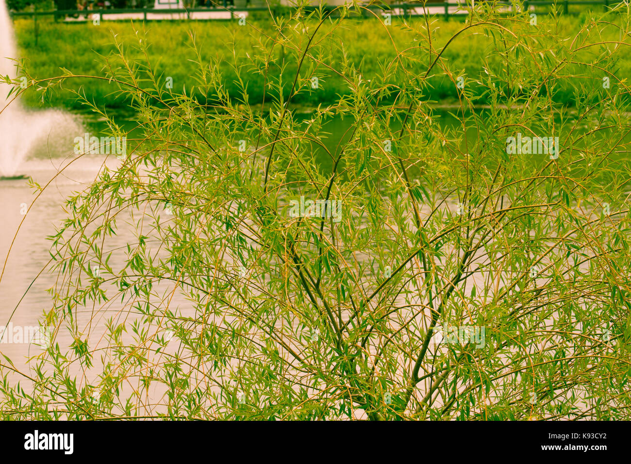 Hermoso paisaje Foto de stock