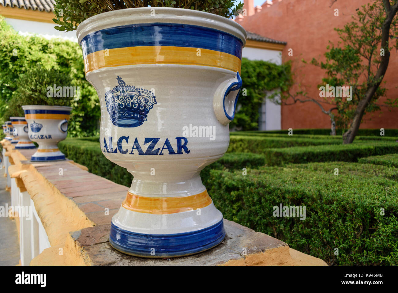 Cerca de la maceta de cerámica blanca con rayas azules y amarillas, el  Alcázar de Sevilla, Andalucía, España Fotografía de stock - Alamy