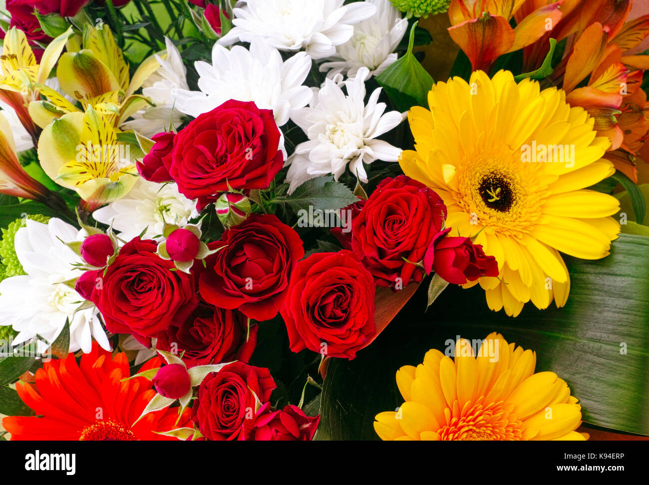 Ramo de Rosas rojas, crisantemos, gerberas. cerca Fotografía de stock -  Alamy