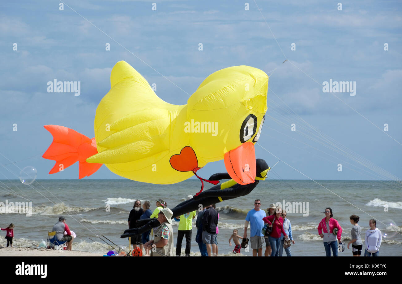Cómo llegaron ahí? Patos inflables gigantes regresan al puerto de Belfast  en Maine por tercer año consecutivo