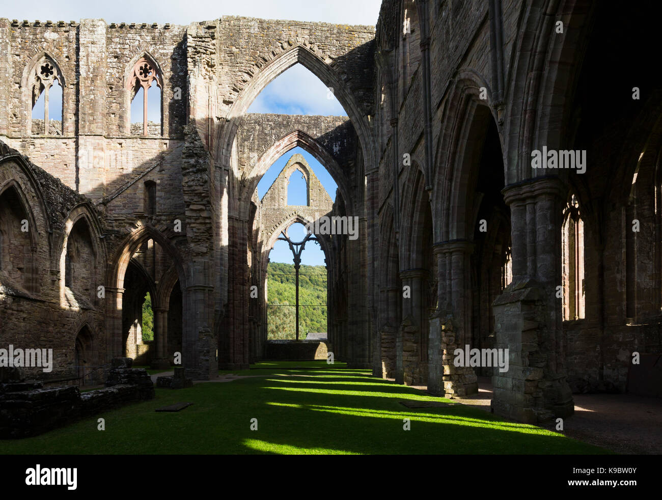 La ABADÍA DE TINTERN, Monmouthshire, Gales, Reino Unido. La abadía fue fundada en 1131. Foto de stock