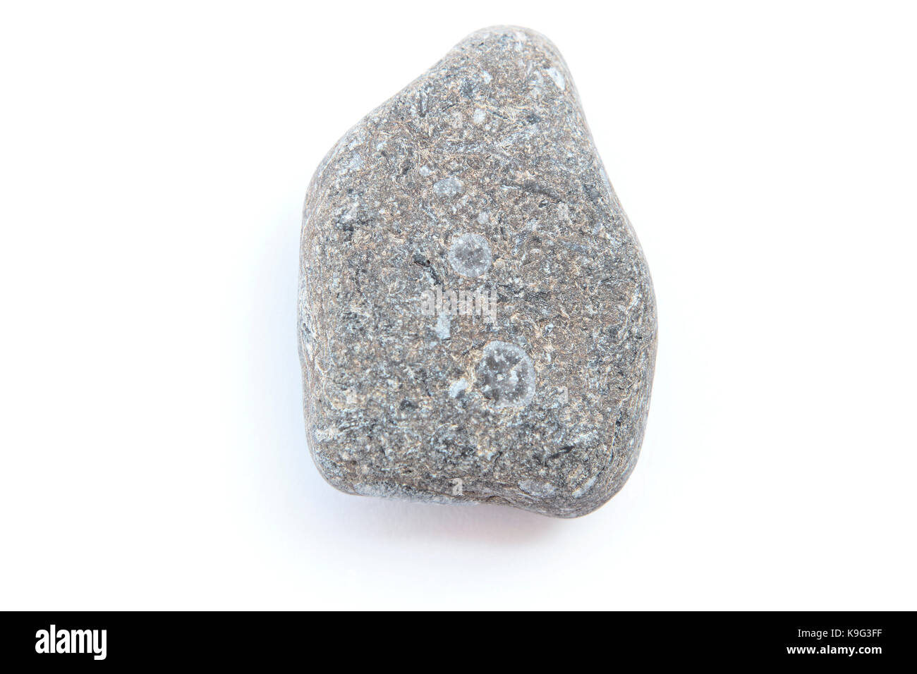 Antigua roca fósil de piedra caliza con crinoideos, briozoos y pelecypods nautiloids periodo Ordovícico superior de cerca de 445 millones de años atrás. Rock es c Foto de stock