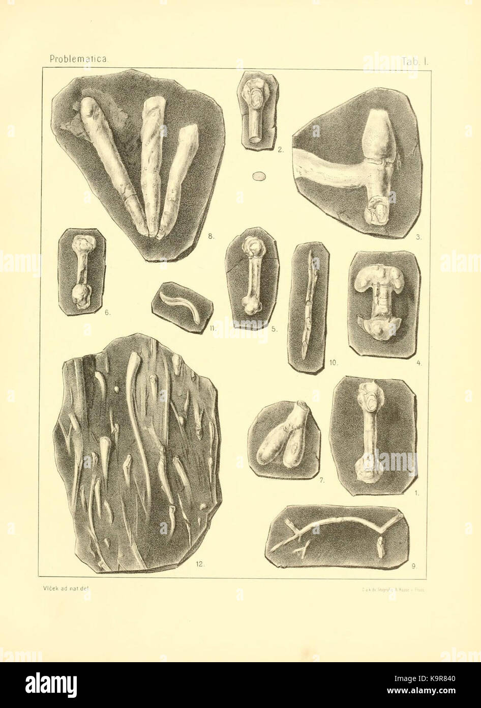 Problematica Silurica (Lámina 1) (7629245628) Foto de stock