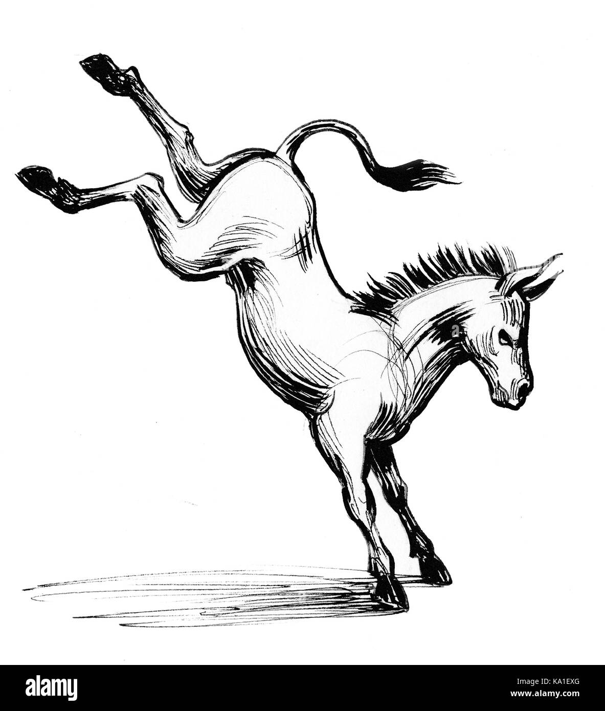 Patear burro Fotografía de stock - Alamy