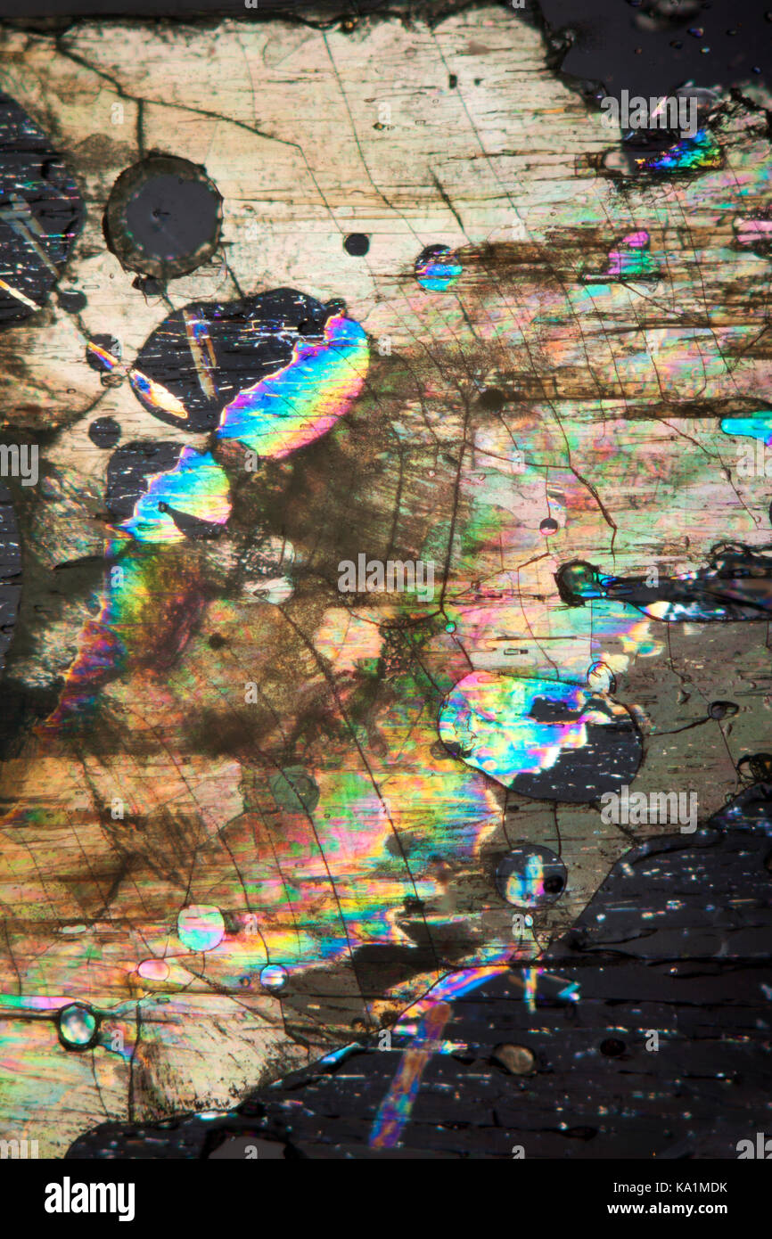 El arte abstracto derivado de un portaobjetos de microscopio iluminado polarizada transversal Foto de stock