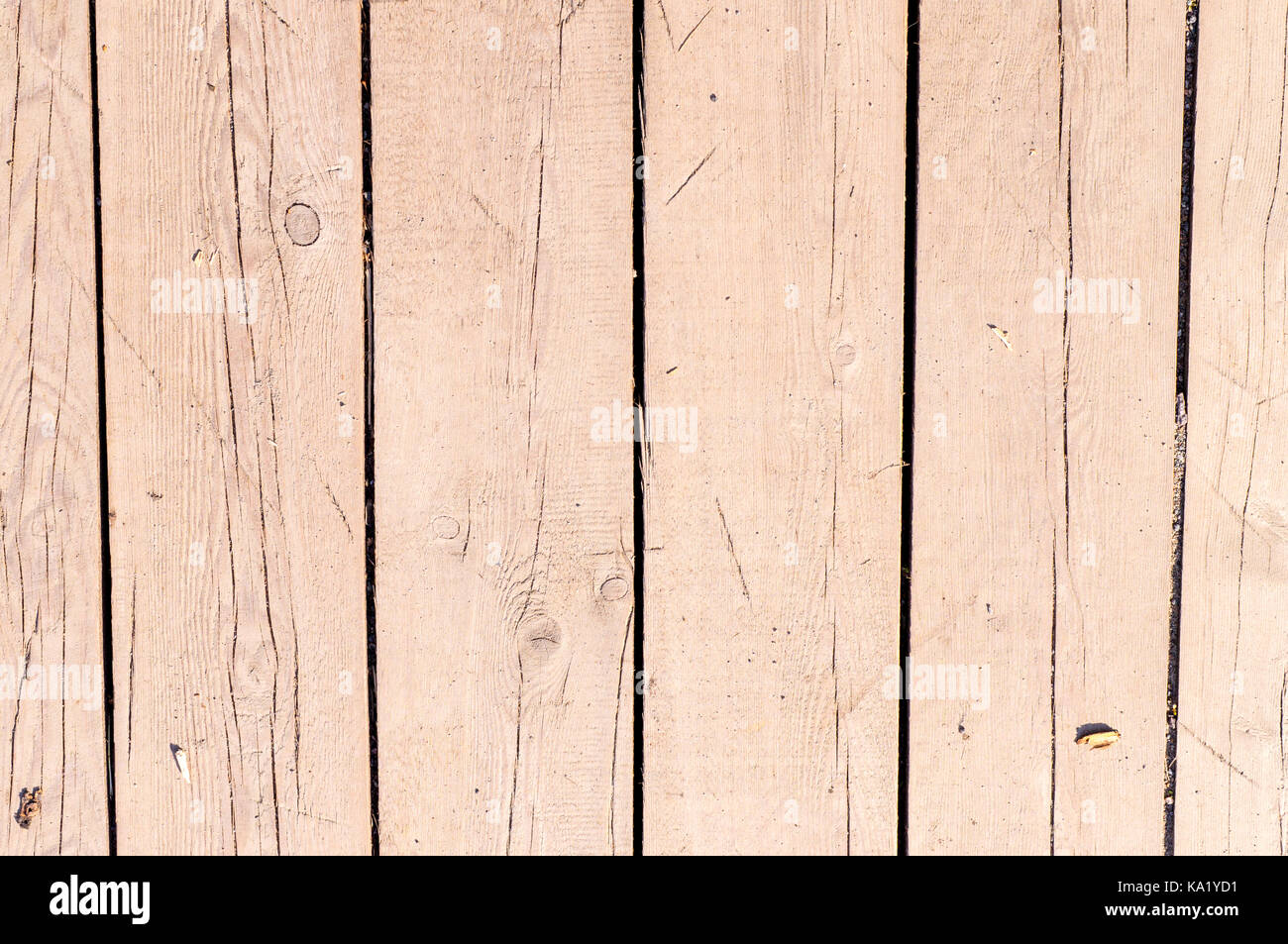 Plancha de madera beige natural textura, siding. Antecedentes Fotografía de  stock - Alamy