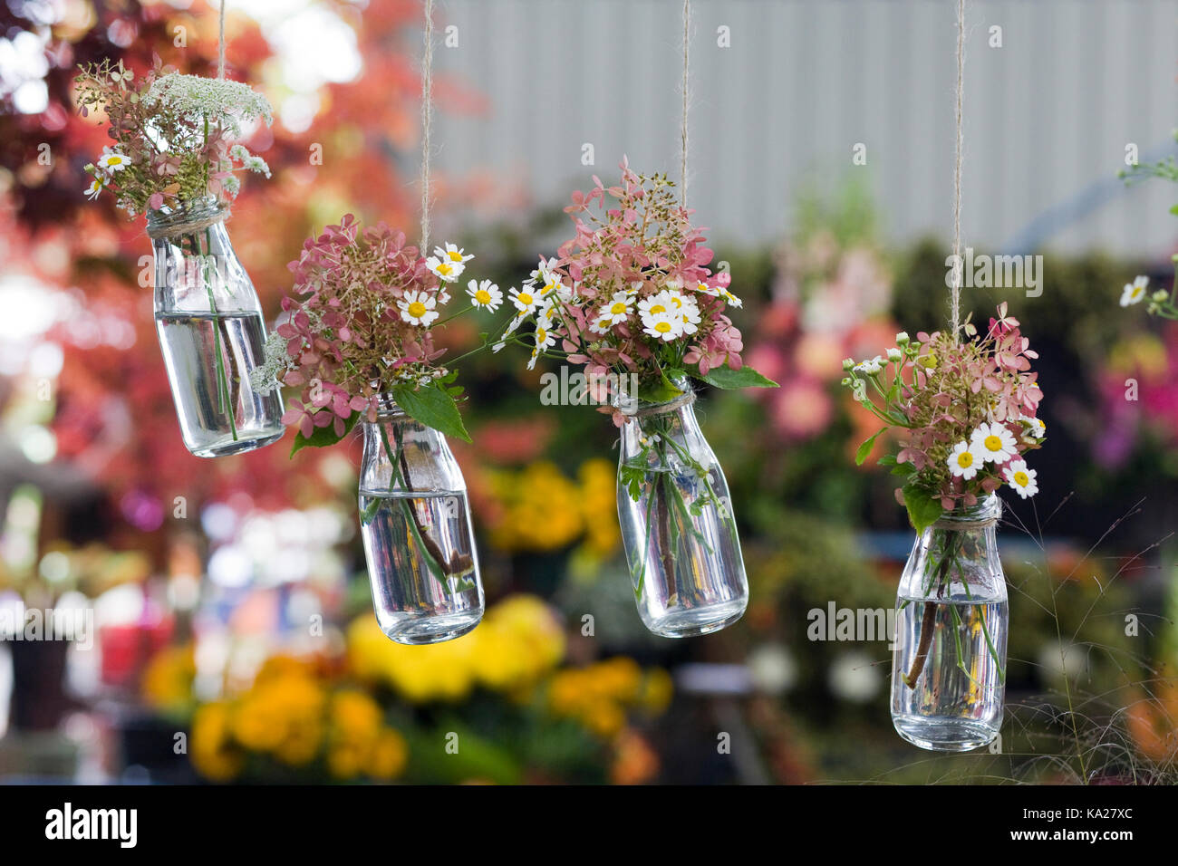 Decoración de flores en botellas colgantes Fotografía de stock - Alamy