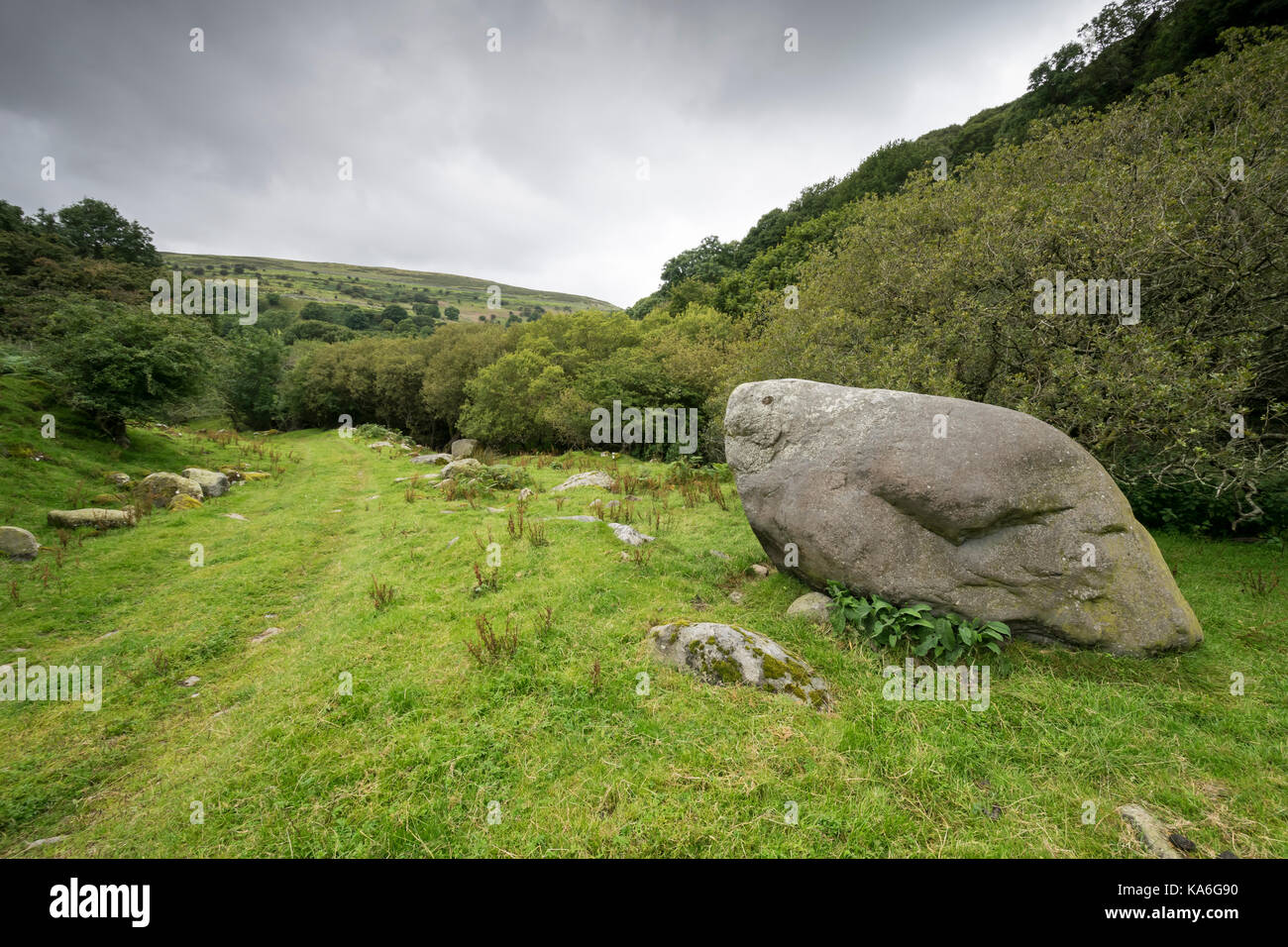 El Parque Nacional de Snowdonia Tres Arroyos Teirydl Valley Road North Wales Llanfairfechan sello grande como el rock. Foto de stock