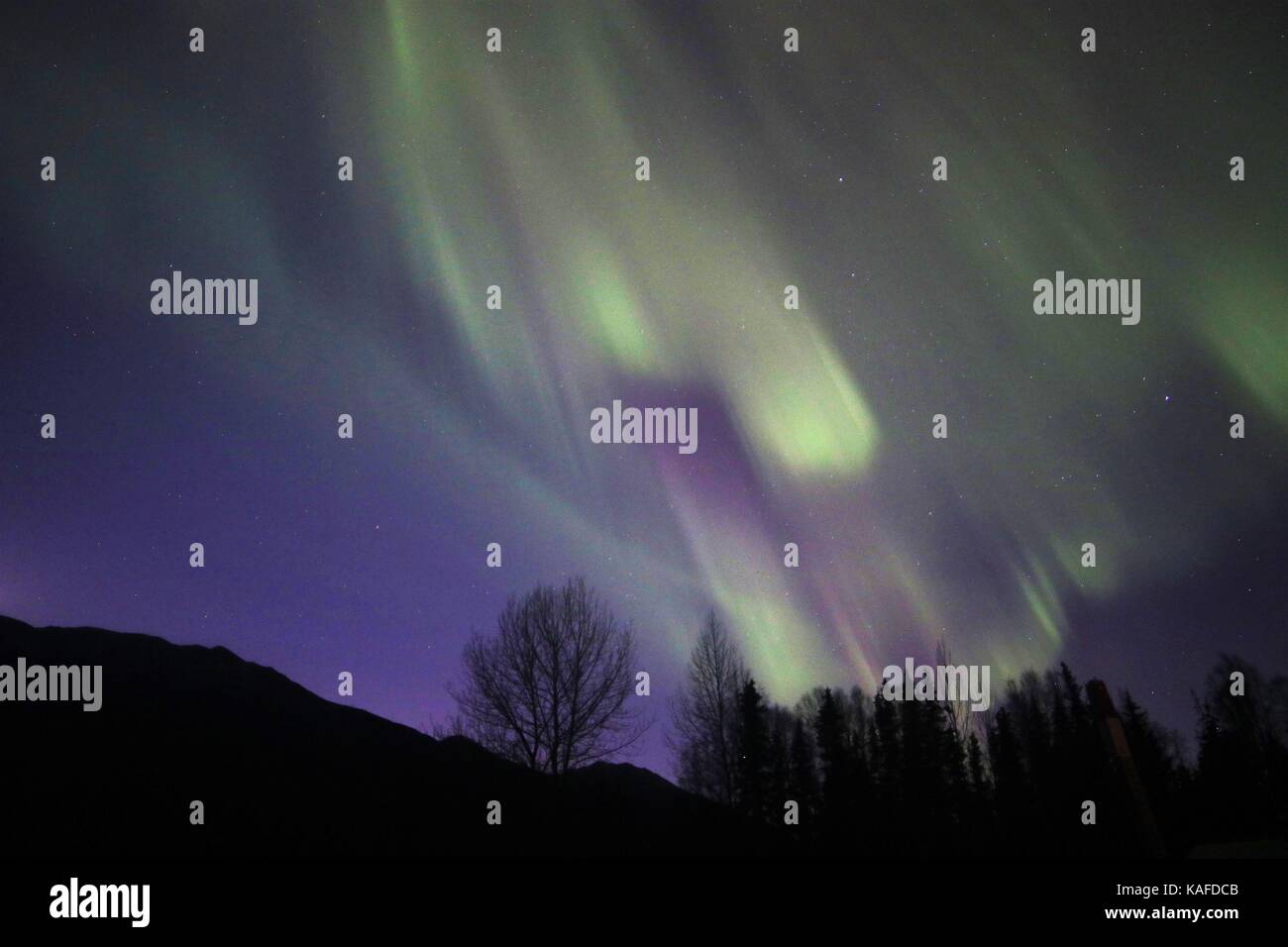 Aurora boreal ilumina el cielo de la noche Foto de stock