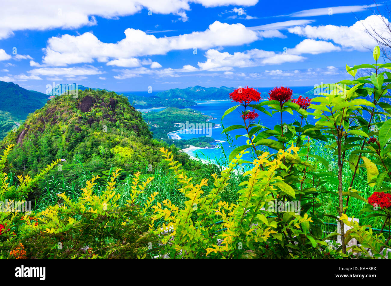 Naturaleza increíble en Mahe Island, Seychelles. Foto de stock