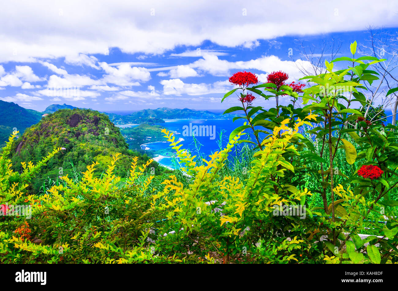 Naturaleza increíble en Mahe Island, Seychelles. Foto de stock