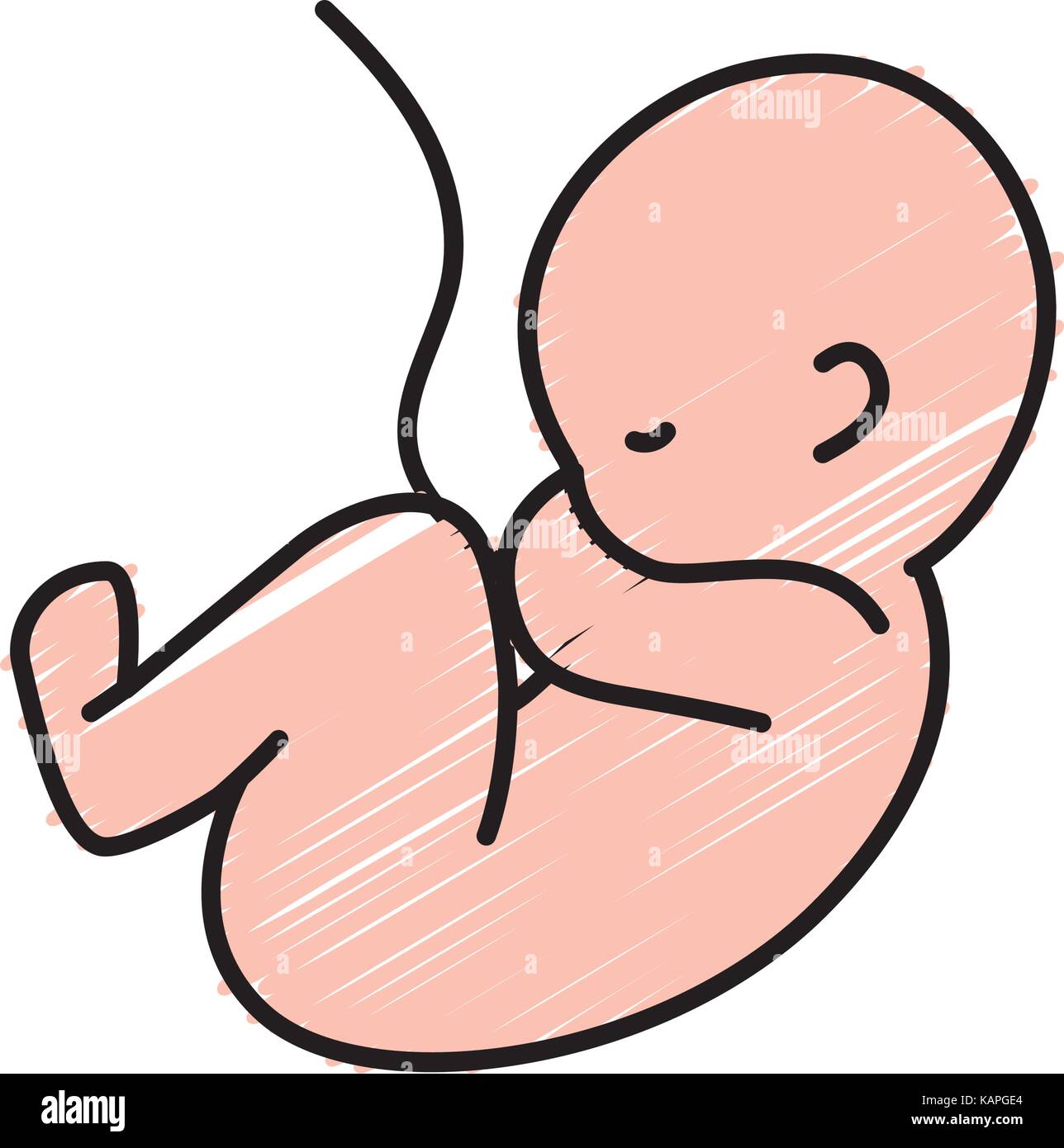 Cordon Umbilical Fotos E Imagenes De Stock Alamy Cordon Umbilical Fotos E Imagenes De Stock Alamy