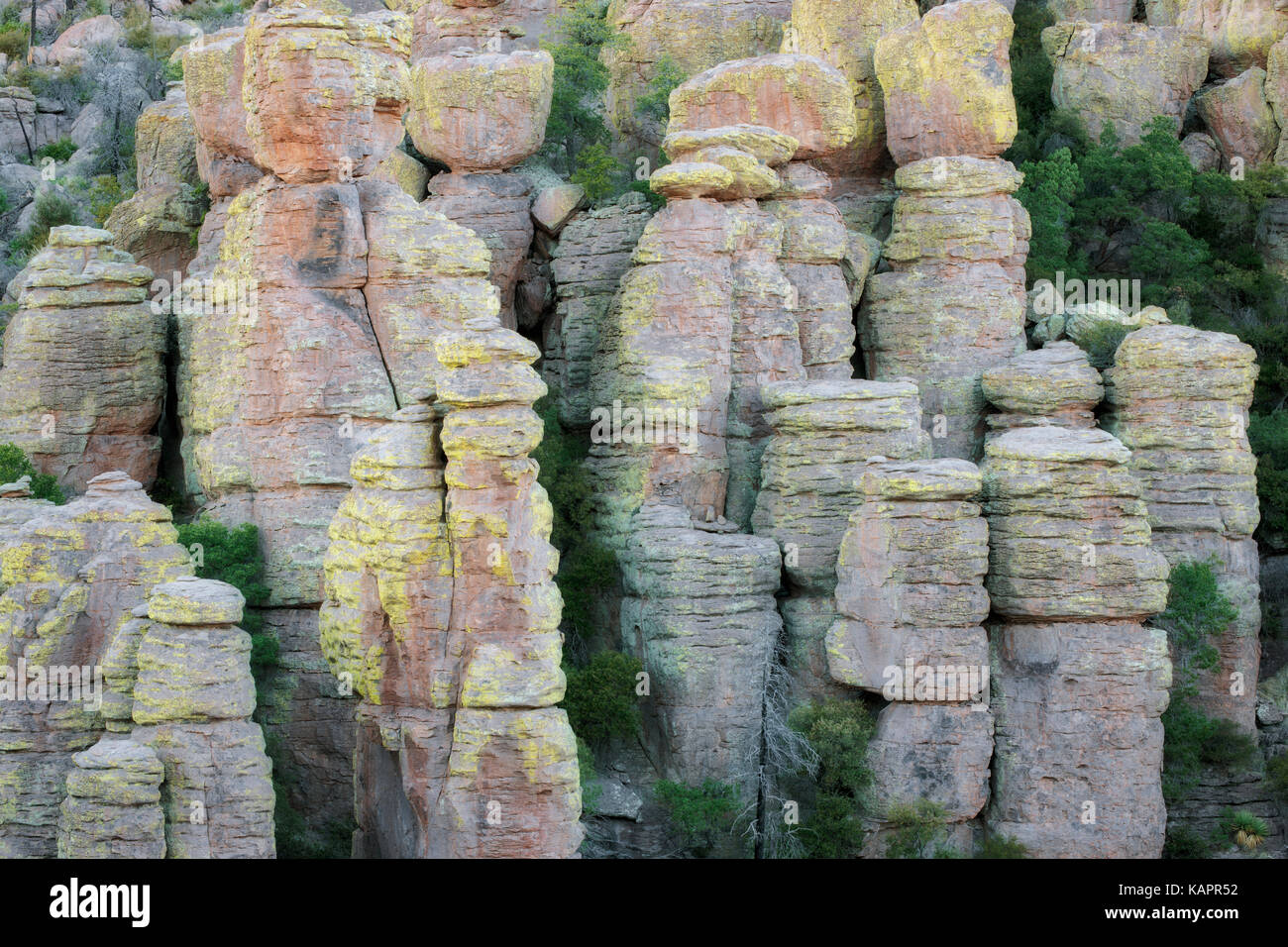 Innumerables formaciones de rocas cubiertas de líquenes y hoodoos se encuentran a lo largo de Arizona se Chiricahua Monumento Nacional. Foto de stock