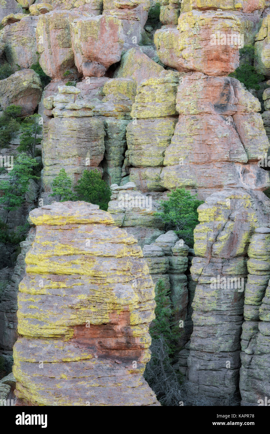 Innumerables formaciones de rocas cubiertas de líquenes y hoodoos se encuentran a lo largo de Arizona se Chiricahua Monumento Nacional. Foto de stock