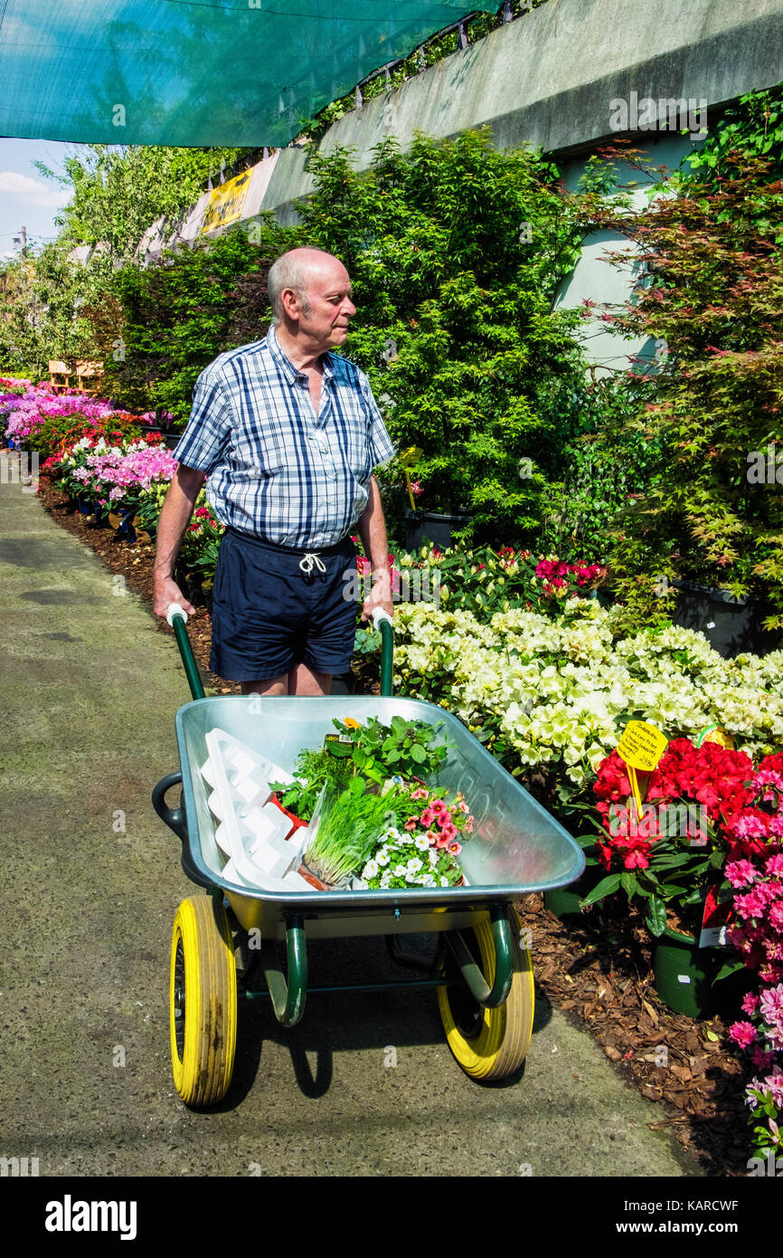 Altos anciano empujando la carretilla de mano como él selecciona las plantas en vivero,compras,pensionista comprar plantas Foto de stock