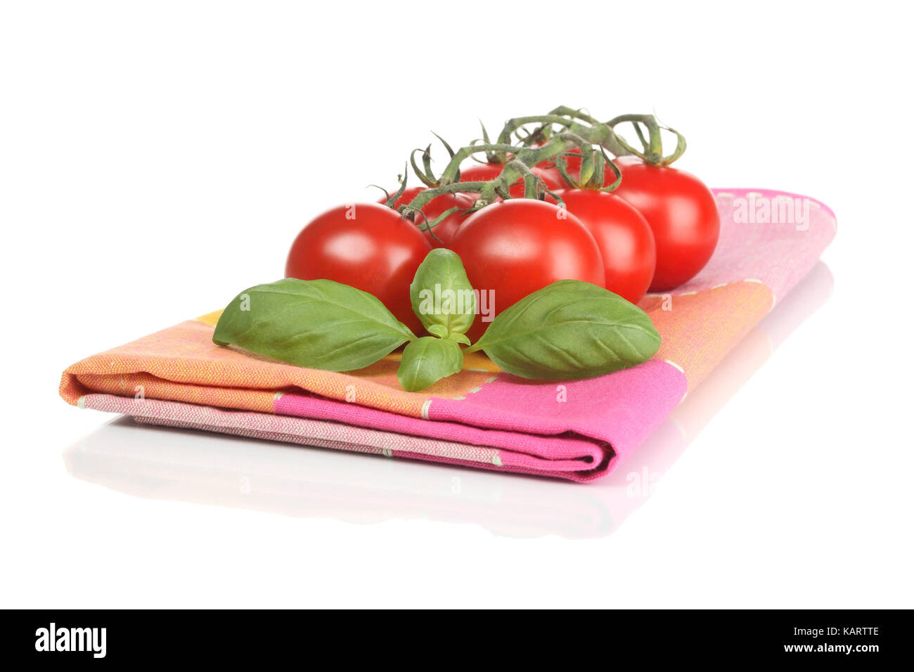 Arbusto de geesthacht, albahaca y tomates, basilikum und strauchtomaten Foto de stock