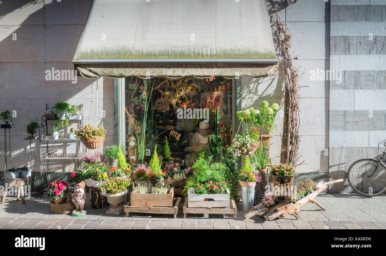 Flores en la pantalla en la calle en una tienda de flores en Como
