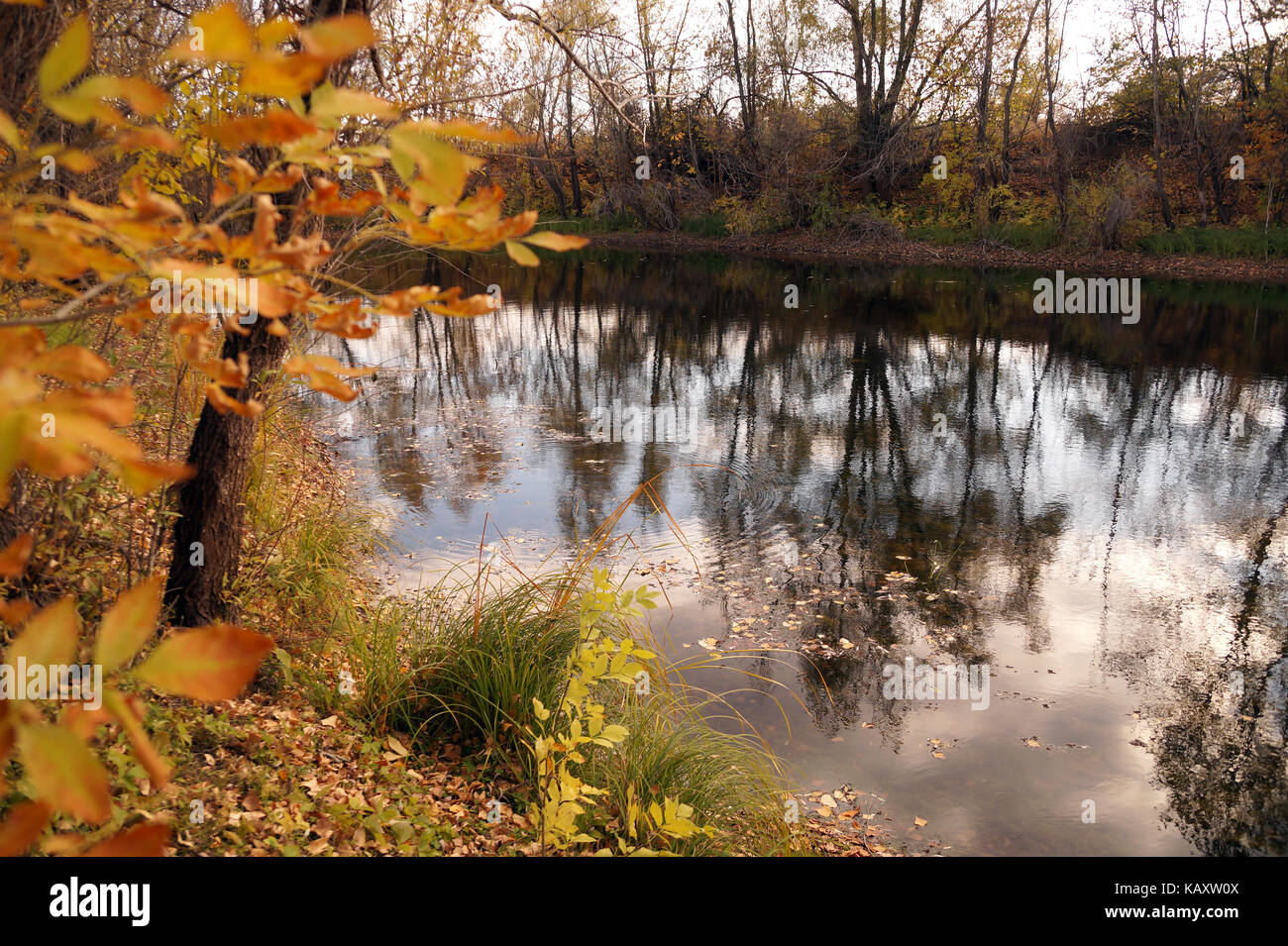 Etude de otoño en la orilla de un pequeño embalse Foto de stock