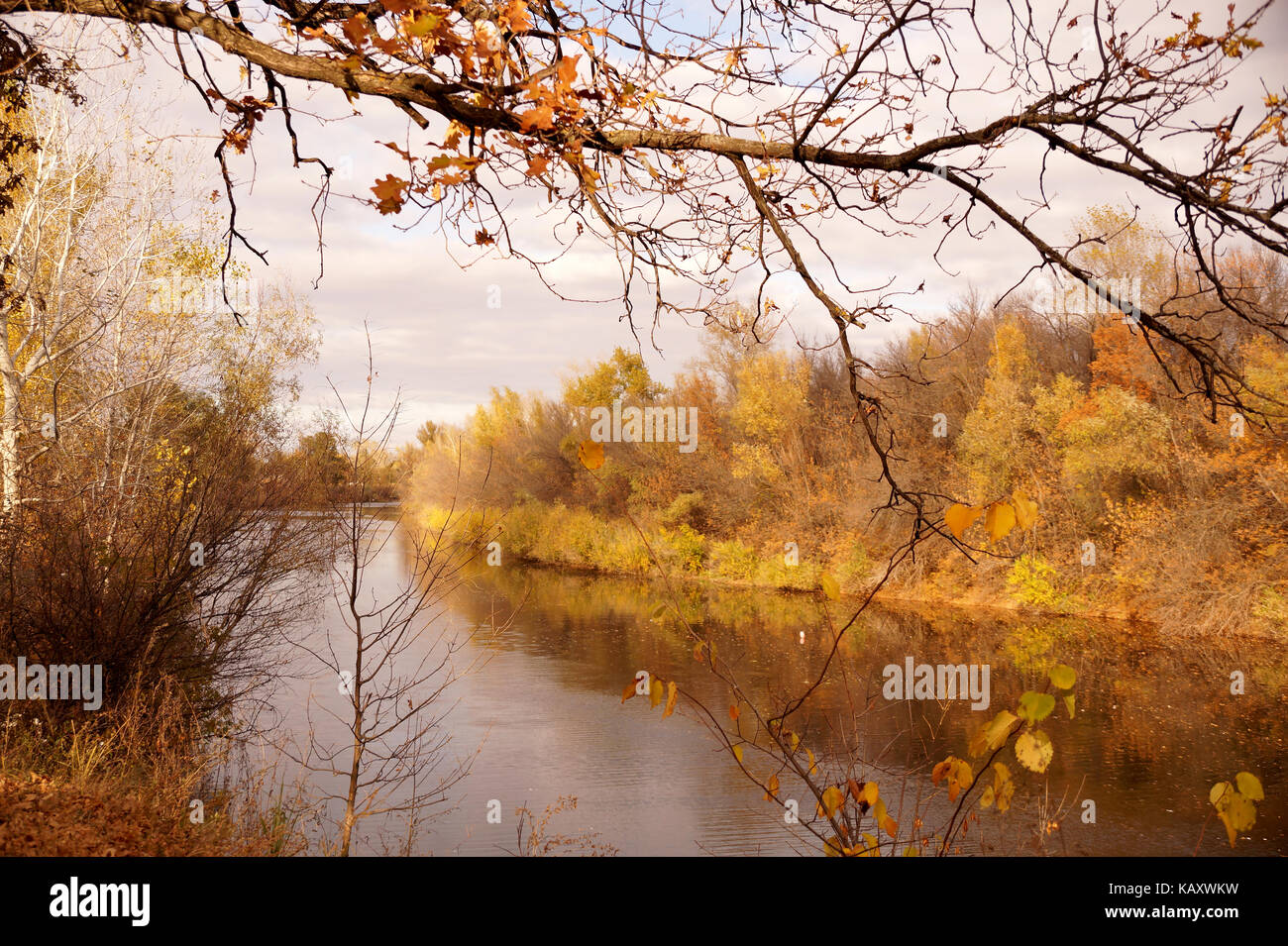 Etude de otoño en la orilla de un pequeño embalse Foto de stock