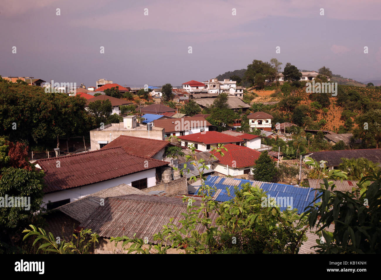 En Asia, el sudeste de Asia, Tailandia, Chiang Rai Mae Salong, té, región, municipio, Foto de stock